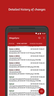 MegaSync – автосинхронизация Mega 7.2.2. Скриншот 7
