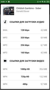 YMusic 3.9.11. Скриншот 4