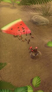 Little Ant Colony 3.4.2. Скриншот 4