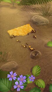 Little Ant Colony 3.4.4. Скриншот 5