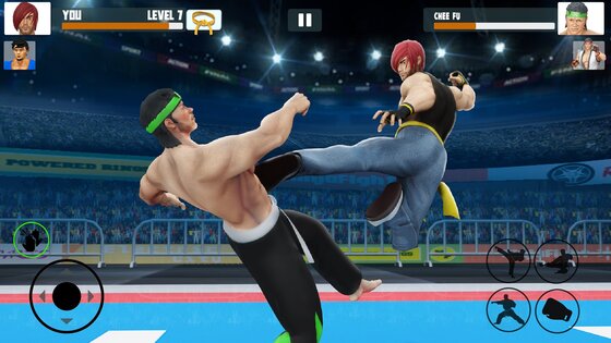 Karate Fighter 3.5.17. Скриншот 1