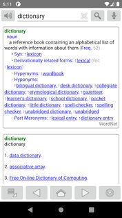 Fora Dictionary 23.1.2. Скриншот 2