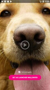 Video Wallpaper 4.0.4. Скриншот 5