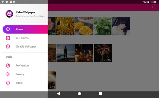 Video Wallpaper 4.0.4. Скриншот 8