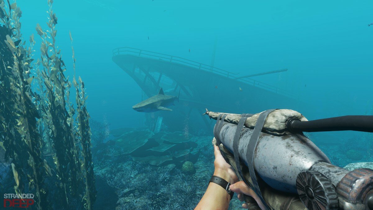 Авиакатастрофа, акулы и острова: Stranded Deep бесплатно дарят в EGS