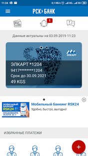 RSK 24 1.10.0. Скриншот 2