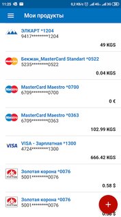 RSK 24 1.10.0. Скриншот 3