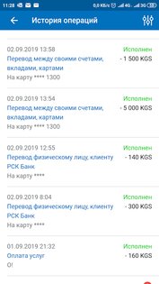 RSK 24 1.10.0. Скриншот 8