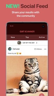 Cat Scanner 17.2.1. Скриншот 4