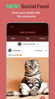 Cat Scanner 18.6.5-G. Скриншот 4