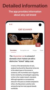 Cat Scanner 17.2.1. Скриншот 8