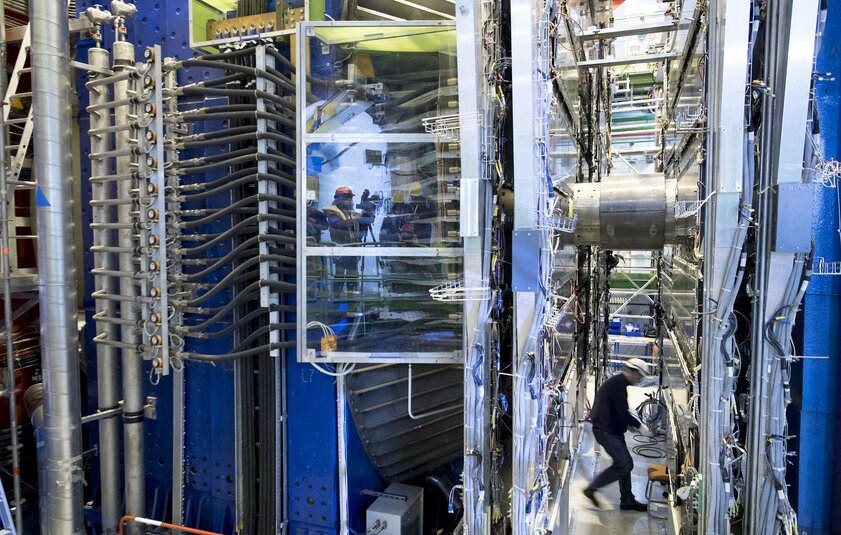 Алгоритмы Яндекса помогли физикам открыть экзотические частицы на Большом адронном коллайдере