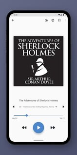 PlayBook 4.1.1. Скриншот 2