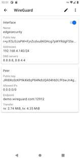 WireGuard 1.0.20250531. Скриншот 2