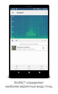 BirdNET – легкое распознавание птичьих голосов 1.96. Скриншот 3