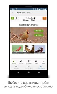 BirdNET – легкое распознавание птичьих голосов 1.96. Скриншот 4