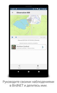 BirdNET – легкое распознавание птичьих голосов 1.96. Скриншот 6