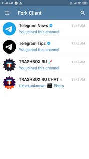 Forkgram 11.9.2.0. Скриншот 1