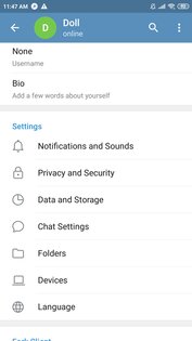 Forkgram 11.9.2.0. Скриншот 2