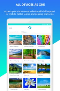 Icedrive – безопасное облако и бэкап 2.8.7. Скриншот 7