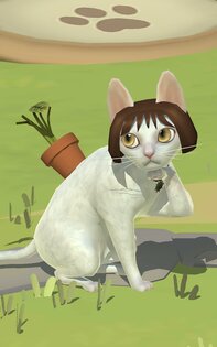 Кошачий курорт – релакс-игра для любителей кошек 1.73.0. Скриншот 23