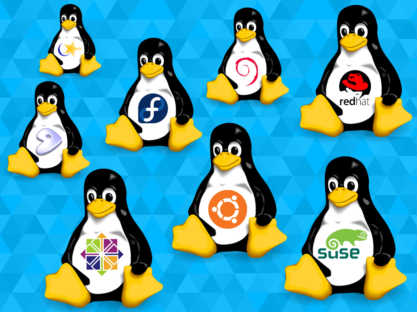 One of the Linux distributions recognized as a digital public good