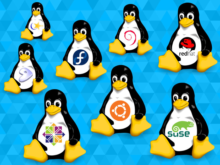 Один из дистрибутивов Linux признали цифровым общественным благом