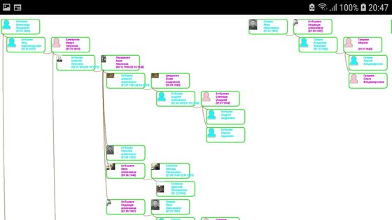 Генеалогическое древо семьи 2.9.8. Скриншот 24