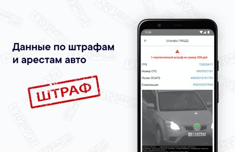 Автобот – проверка авто по VIN и ГРЗ 17.31. Скриншот 10