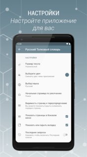 Толковый Словарь Русского Языка Офлайн 3.0.7.0. Скриншот 8