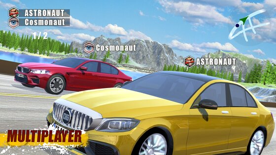 CarSim M5&C63 1.24. Скриншот 5