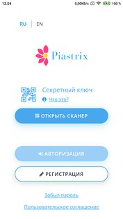 Piastrix 2.0.54. Скриншот 1