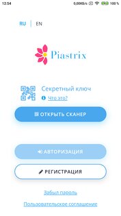 Piastrix 3.6.0. Скриншот 1