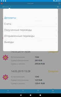 Piastrix 3.6.0. Скриншот 12
