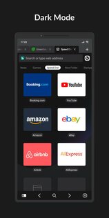 Vivaldi Browser Snapshot 7.4.3661.4. Скриншот 2