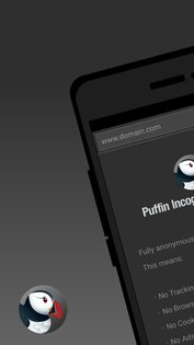 Puffin Incognito Browser 10.0.1.51624. Скриншот 1