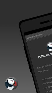 Puffin Incognito Browser 10.3.0.51675. Скриншот 1