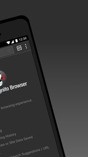 Puffin Incognito Browser 10.0.1.51624. Скриншот 2