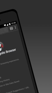 Puffin Incognito Browser 10.3.0.51675. Скриншот 2