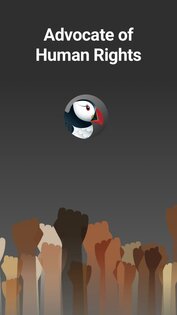 Puffin Incognito Browser 10.5.0.61369. Скриншот 3