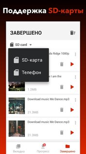 Бесплатный загрузчик видео 1.4.3. Скриншот 3