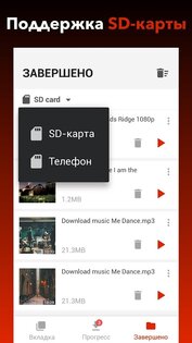 Бесплатный загрузчик видео 1.4.6. Скриншот 3