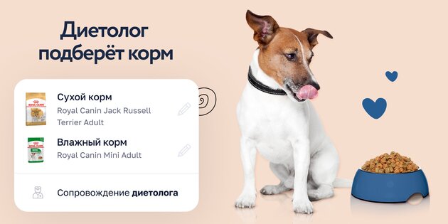 Petstory – зоотовары и запись к ветеринару онлайн 7.42.0. Скриншот 2