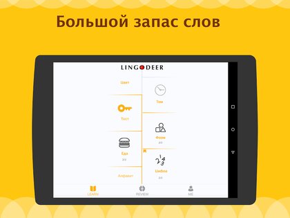 LingoDeer 2.99.316. Скриншот 11