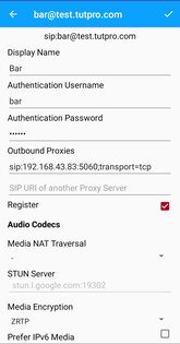 baresip 66.1.4. Скриншот 3