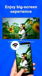 Screencast 1.1.73. Скриншот 2