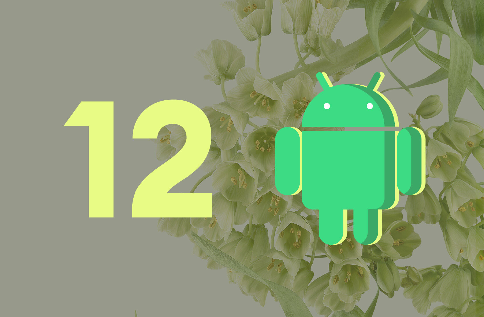 Кастомные прошивки Android 12 для Xiaomi, Samsung, Realme и других  смартфонов