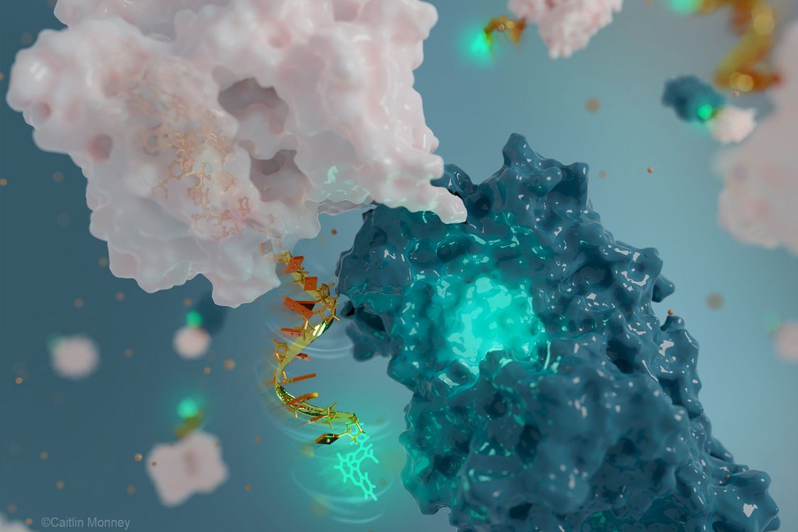Scientists have created a nanoantenna from DNA.  It’s like a miniature radio station that monitors the behavior of a squirrel.