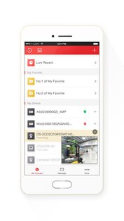 Hik-Connect 6.9.2.0513. Скриншот 1