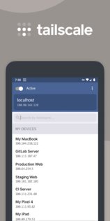 Tailscale 1.82.4. Скриншот 1